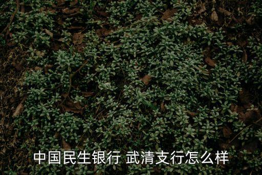 中國(guó)民生銀行 武清支行怎么樣