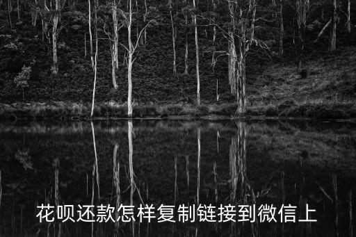 花唄還款怎樣復(fù)制鏈接到微信上