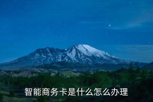 智能商務(wù)卡是什么怎么辦理