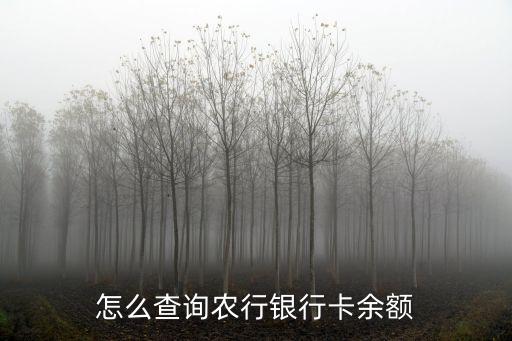 怎么查詢農(nóng)行銀行卡余額