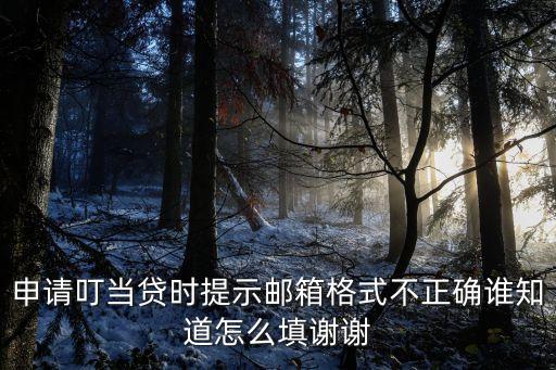 申請(qǐng)叮當(dāng)貸時(shí)提示郵箱格式不正確誰(shuí)知道怎么填謝謝