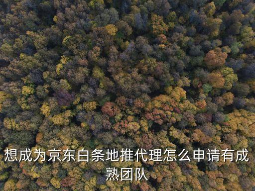 想成為京東白條地推代理怎么申請有成熟團(tuán)隊(duì)
