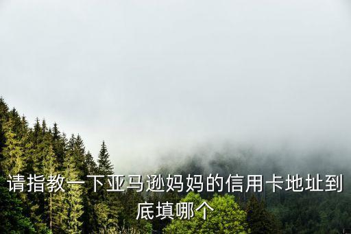 請(qǐng)指教一下亞馬遜媽媽的信用卡地址到底填哪個(gè)