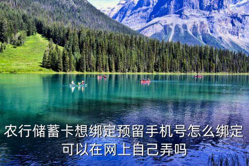 農(nóng)行儲蓄卡想綁定預(yù)留手機(jī)號怎么綁定可以在網(wǎng)上自己弄嗎