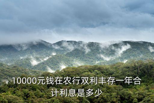 10000元錢在農(nóng)行雙利豐存一年合計(jì)利息是多少