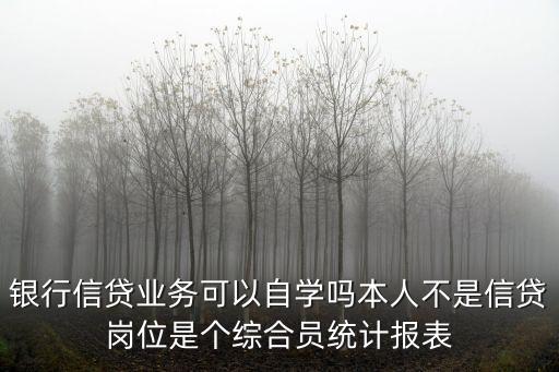 銀行信貸業(yè)務(wù)可以自學(xué)嗎本人不是信貸崗位是個綜合員統(tǒng)計(jì)報(bào)表