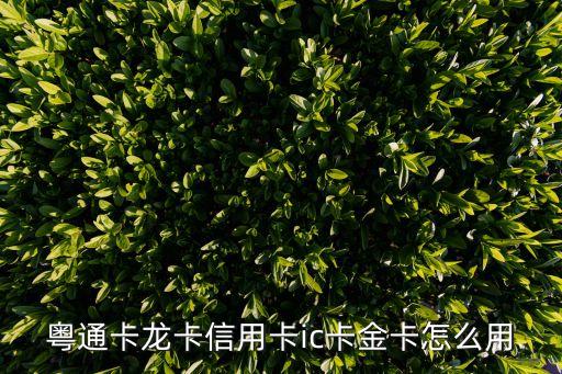 粵通卡龍卡信用卡ic卡金卡怎么用