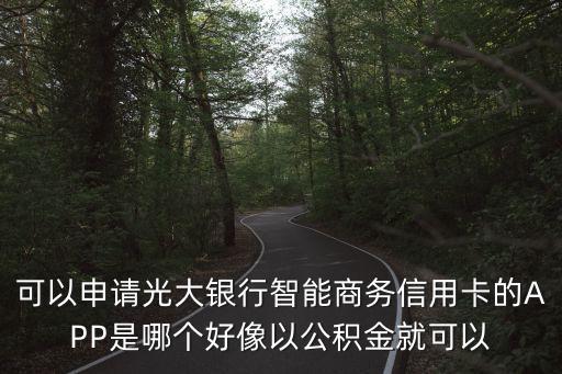 光大智能商務(wù)卡怎么辦，光大智能商務(wù)信用卡怎么辦理