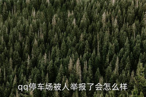 龍騰卡盟怎么樣，qq停車場(chǎng)被人舉報(bào)了會(huì)怎么樣