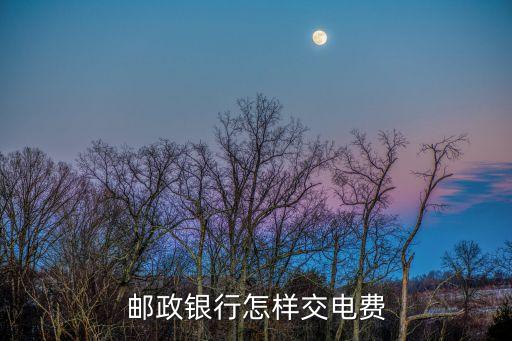 郵政卡怎么交水電費，怎么用郵政儲蓄交電費