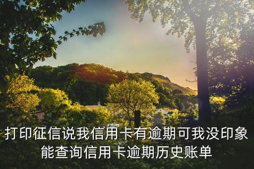 打印征信說我信用卡有逾期可我沒印象能查詢信用卡逾期歷史賬單
