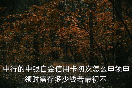 中行的中銀白金信用卡初次怎么申領(lǐng)申領(lǐng)時(shí)需存多少錢若最初不