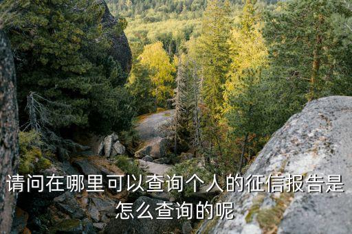 征信報(bào)告2年內(nèi)怎么查，個(gè)人征信怎么查