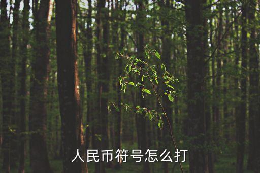 人民幣的符號(hào)怎么輸入，rmb符號(hào)怎么打