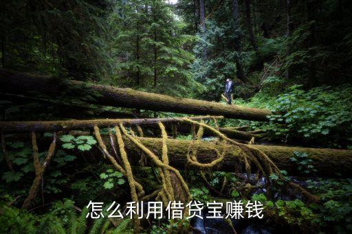 怎么利用借貸寶賺錢