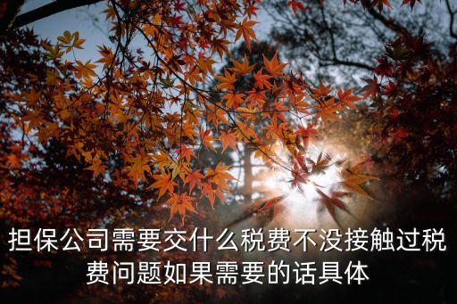 擔(dān)保公司需要交什么稅費不沒接觸過稅費問題如果需要的話具體