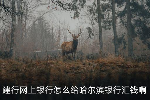 建行網(wǎng)上銀行怎么給哈爾濱銀行匯錢啊