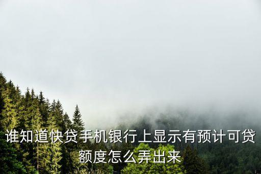 誰知道快貸手機(jī)銀行上顯示有預(yù)計(jì)可貸額度怎么弄出來