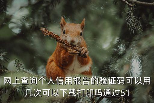 網(wǎng)上查詢(xún)個(gè)人信用報(bào)告的驗(yàn)證碼可以用幾次可以下載打印嗎通過(guò)51