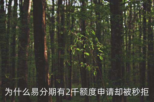 為什么易分期有2千額度申請(qǐng)卻被秒拒