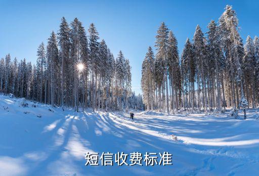 短信收費(fèi)標(biāo)準(zhǔn)