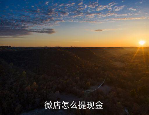 微店怎么提現(xiàn)金，微店賺來的錢怎么提出來