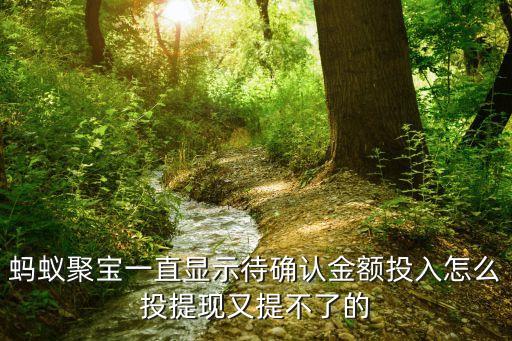 螞蟻聚寶一直顯示待確認(rèn)金額投入怎么投提現(xiàn)又提不了的