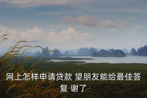 網(wǎng)上怎樣申請貸款 望朋友能給最佳答復 謝了