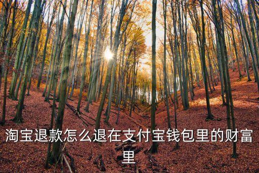 怎么在支付包上退款，在支付寶上轉(zhuǎn)得錢怎么可以退回來急急