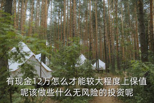 有現(xiàn)金12萬(wàn)怎么才能較大程度上保值呢該做些什么無(wú)風(fēng)險(xiǎn)的投資呢