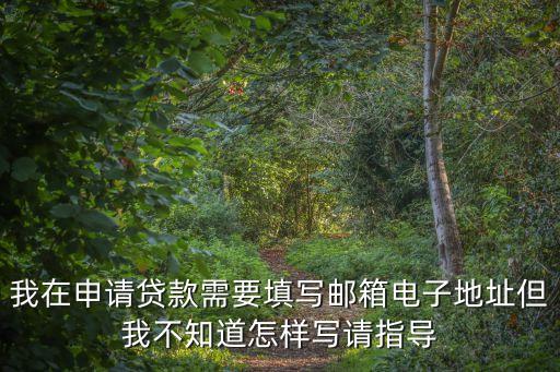 玖富叮當(dāng)貸郵箱怎么填，我在申請貸款需要填寫郵箱電子地址但我不知道怎樣寫請指導(dǎo)