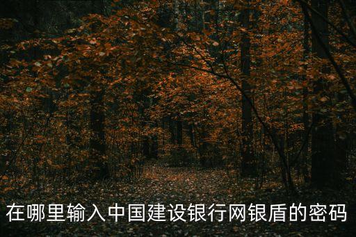 在哪里輸入中國建設(shè)銀行網(wǎng)銀盾的密碼