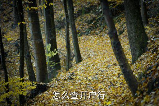 怎么查開戶行