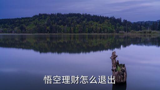 悟空理財怎么退出