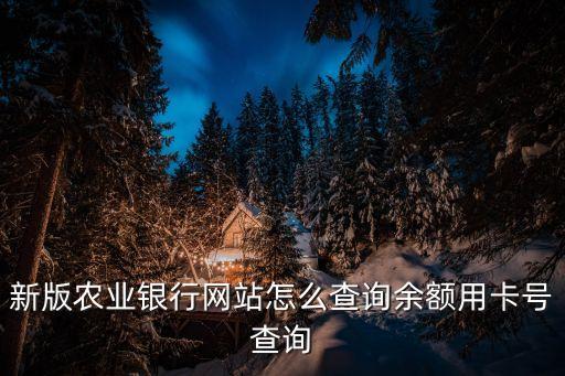 新版農(nóng)業(yè)銀行網(wǎng)站怎么查詢余額用卡號查詢