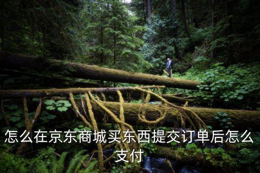 怎么在京東商城買東西提交訂單后怎么支付