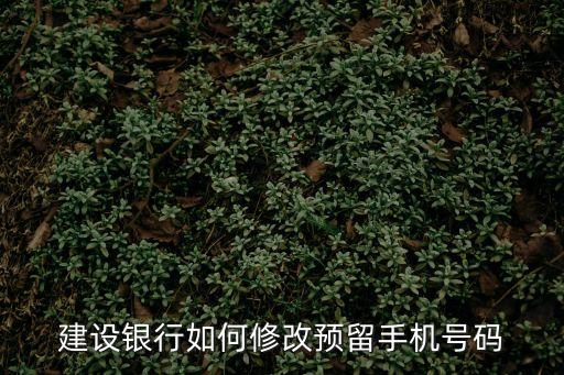 建行預(yù)留號碼怎么修改，建設(shè)銀行怎么修改預(yù)留手機號碼