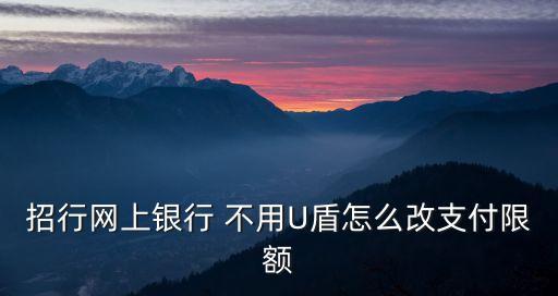 招行網(wǎng)上銀行 不用U盾怎么改支付限額