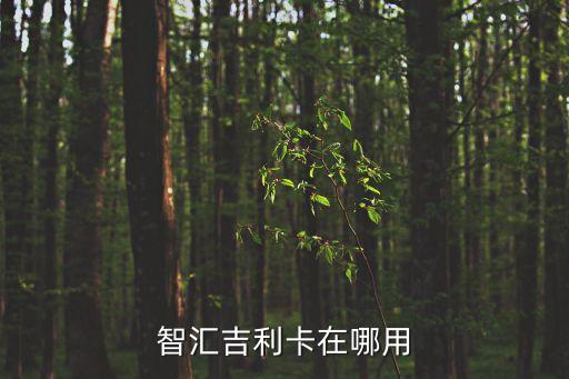 浦發(fā)銀行吉利卡怎么用，智匯吉利卡在哪用