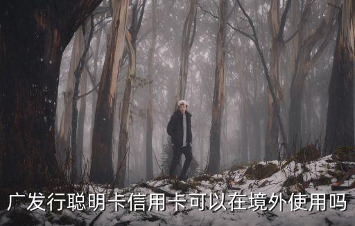 廣發(fā)行聰明卡信用卡可以在境外使用嗎