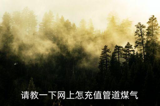 請教一下網(wǎng)上怎充值管道煤氣