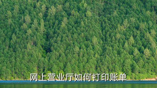 網(wǎng)上營業(yè)廳如何打印賬單