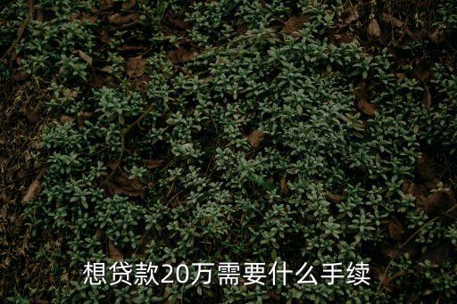 濟寧怎么貸款20萬元，想在銀行貸款20萬需要什么手續(xù)