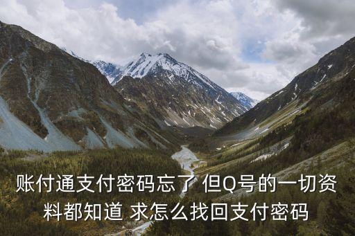 賬付通支付密碼忘了 但Q號的一切資料都知道 求怎么找回支付密碼