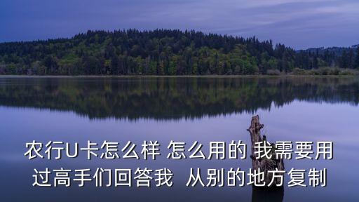 農(nóng)行U卡怎么樣 怎么用的 我需要用過高手們回答我  從別的地方復(fù)制
