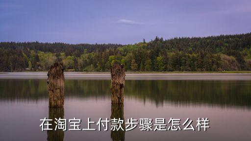 在淘寶上付款步驟是怎么樣