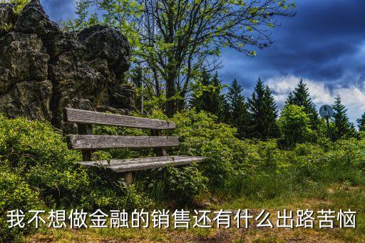 我不想做金融的銷售還有什么出路苦惱