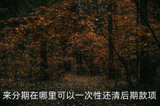 來分期在哪里可以一次性還清后期款項(xiàng)
