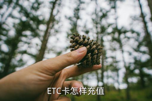 ETC卡怎樣充值