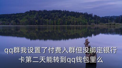 qq群我設(shè)置了付費(fèi)入群但沒綁定銀行卡第二天能轉(zhuǎn)到qq錢包里么
